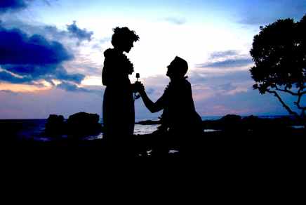 silhouette photo of man kneeling in front of woman giving flower